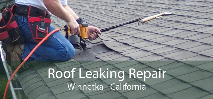 Roof Leaking Repair Winnetka - California